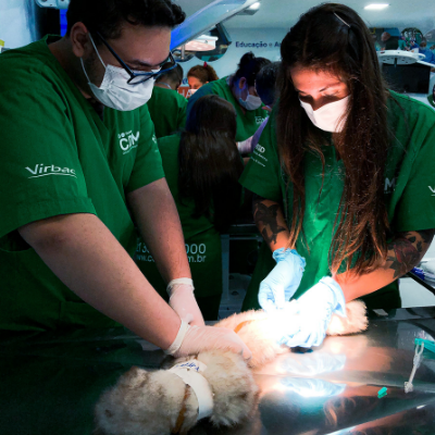 Curso de Auxiliar Veterinário (manhã)