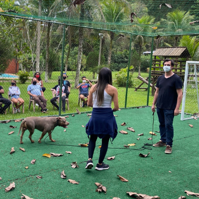 Curso de Adestramento e Comportamento Canino