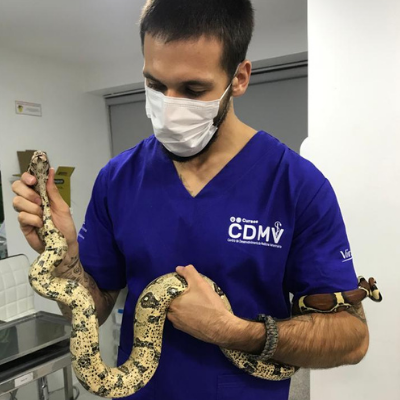 Curso de Rotina de Pets Não Convencionais