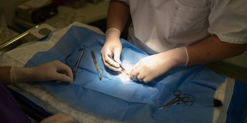 O que é sutura intradérmica veterinária